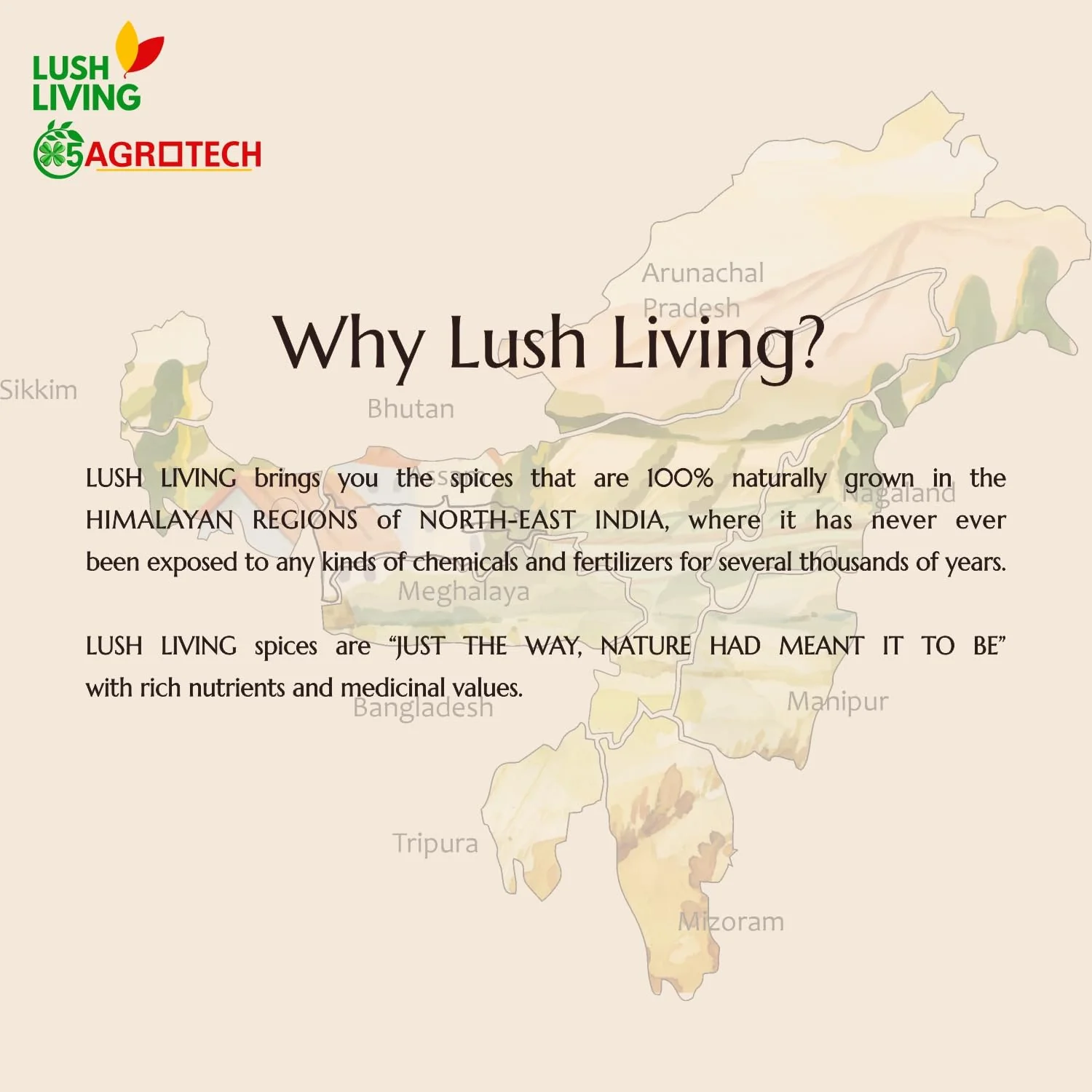 100% Natural A2 Cow Ghee By Lush Living | Rich In Protein Fiber & Delicious Healthy Desi Cow Ghee For Overall Health | 1 Litre (500ml * 2) 33.8 Ounce | Jar Pack - Image 4