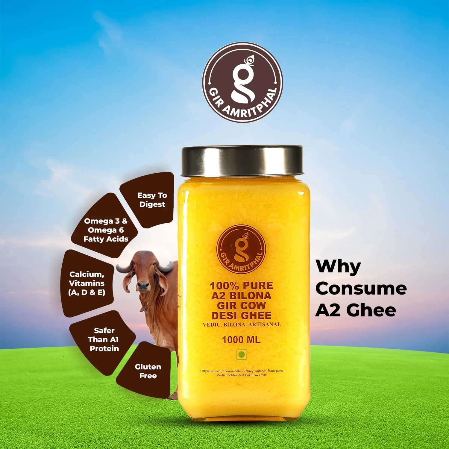 100% Natural Cow Ghee A2 Bilona Gir Cow Desi Ghee By Gir Amritphal | Good Source Of Healthy Desi Cow Ghee Perfect For Improves Hair Health | (1 Litr) 33.8 Ounce | Jar Pack - Image 5