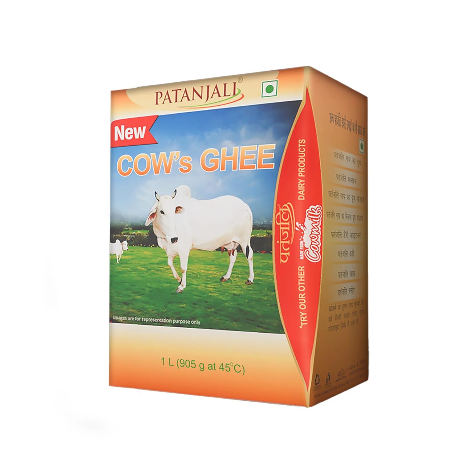 Patanjali