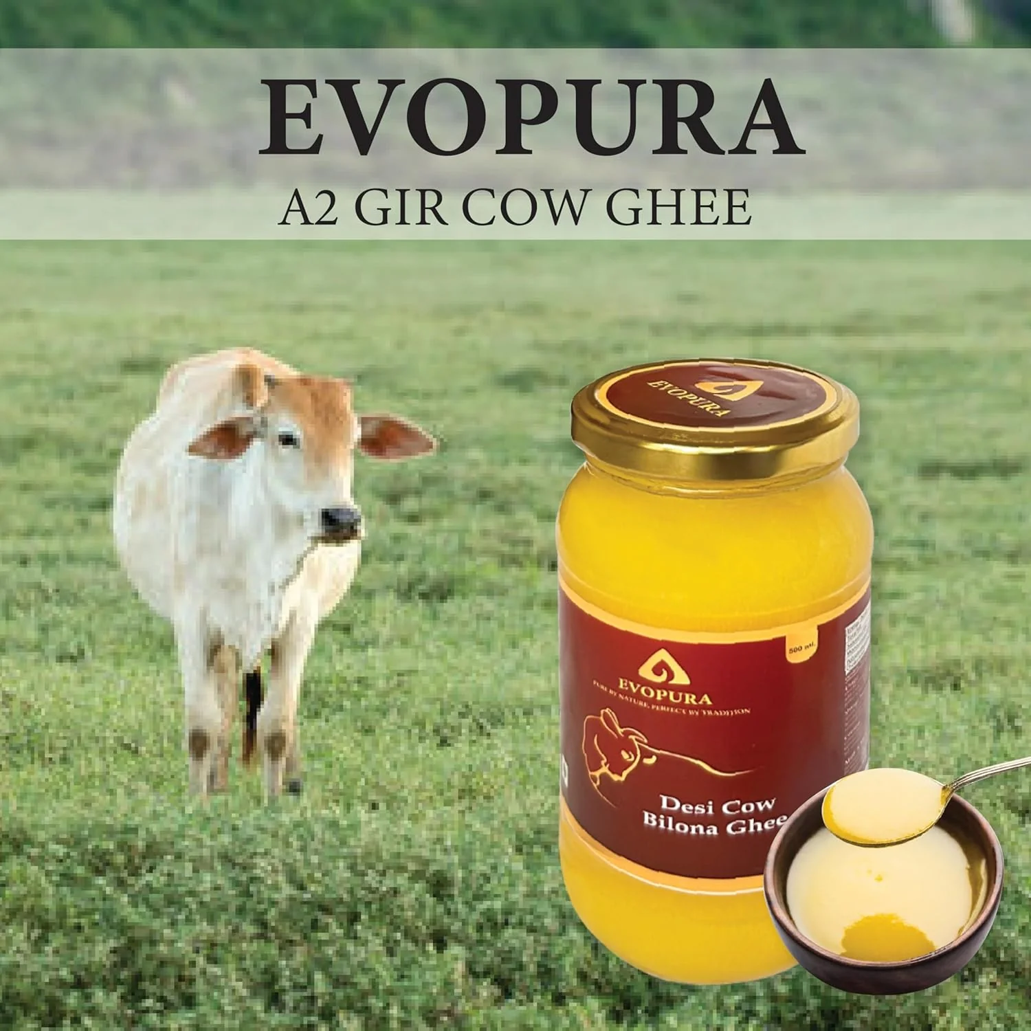 100% Natural Desi Cow Ghee By Evopura | Indian Traditional Bilona A2 Desi Cow Ghee Perfect For Frying & Baking | (100ml) 3.3 Ounce | Jar Pack - Image 5