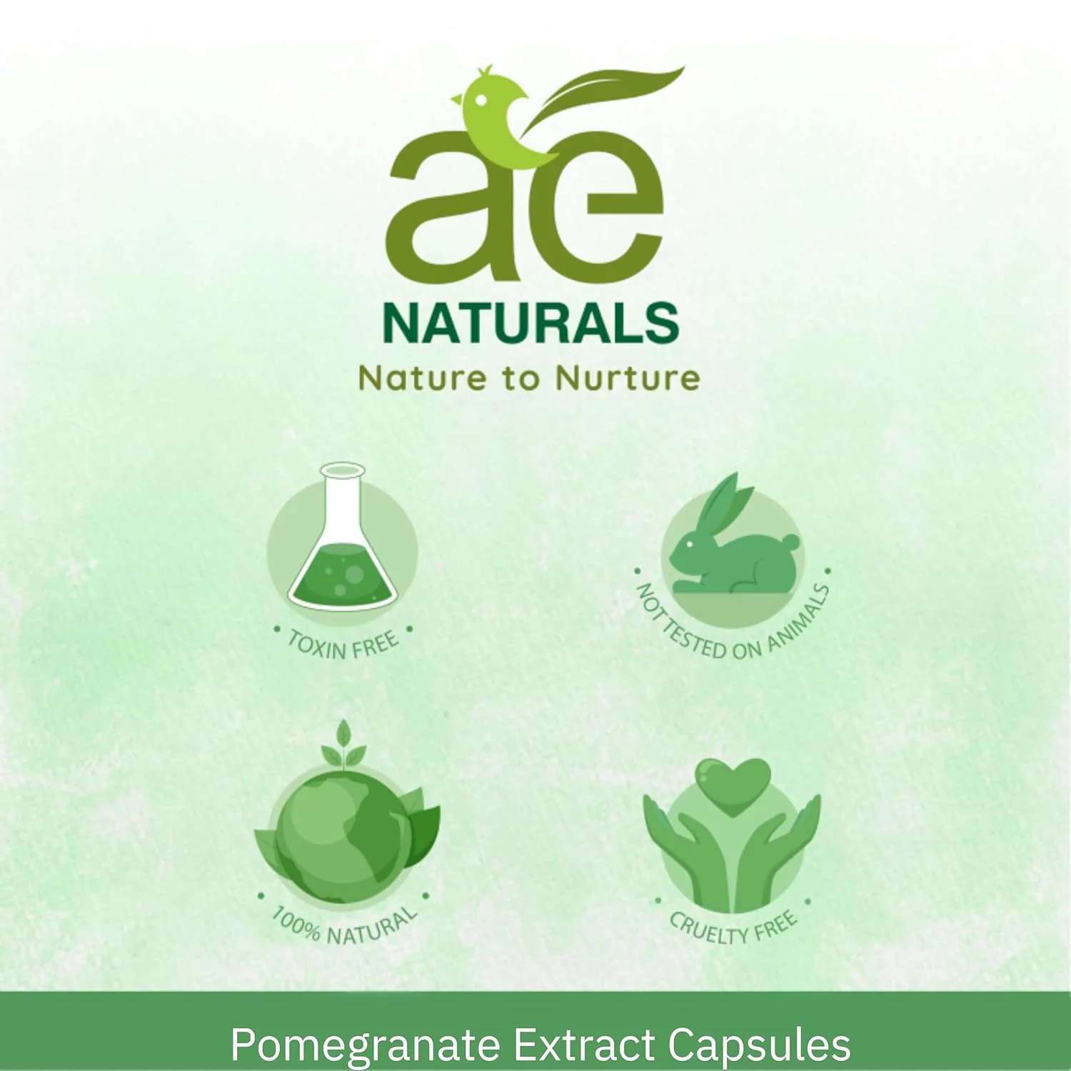 Ae Naturals Pomegranate Extract Capsules Promotes Healthy Skin, Regulates Blood Pressure, Powerful Antioxidant | 60 Capsules 100gm 0.2lbs - Image 5