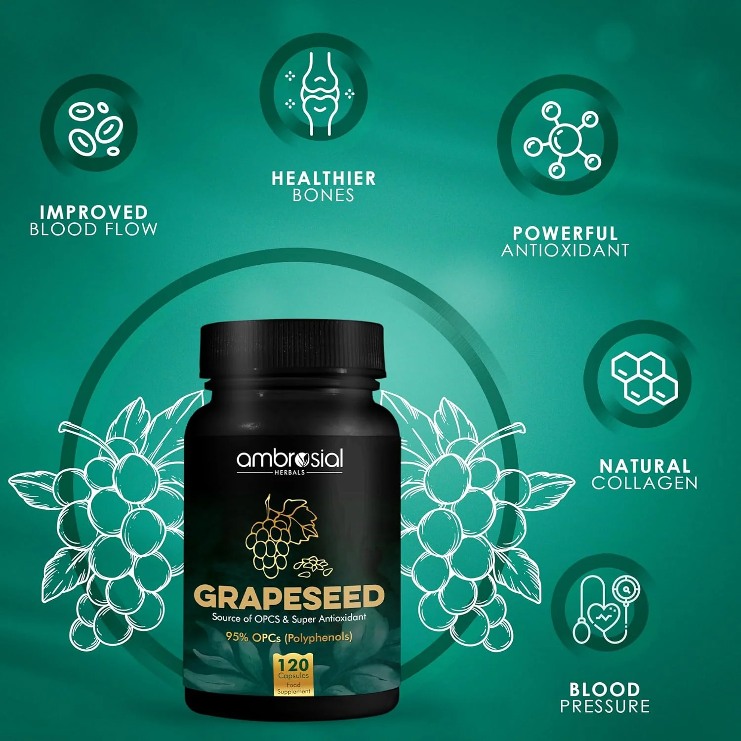 Ambrosial Grape Seed Extract Capsules 95% Opcs Polyphenols High Strength Grape Seed Supplement Strong Antioxidant | 120 Vegan Capsules 150gm 0.3lbs - Image 3