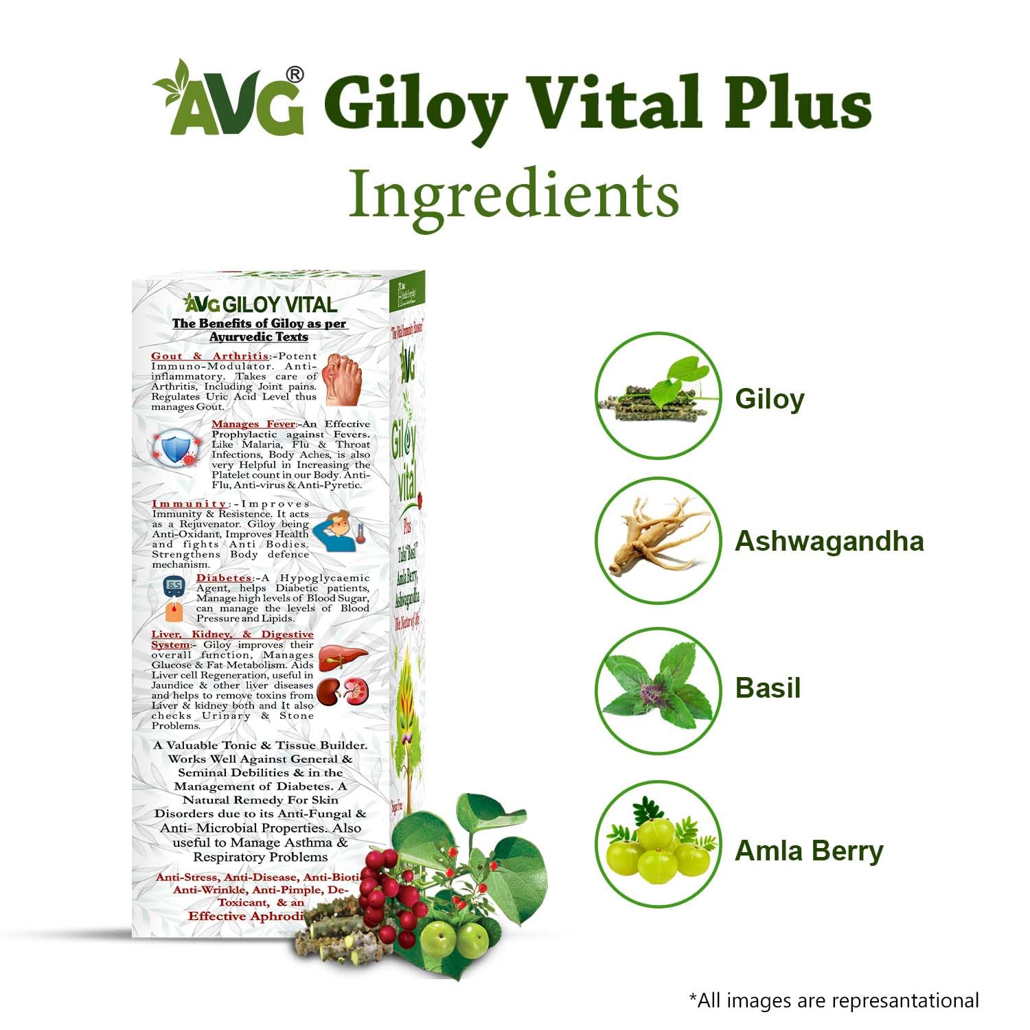Avg Health Organics Giloy Vital, Giloy Juice With Ashwagandha, Tulsi, Ayurvedic Supplement, Natual Immunity Booster, Improves Platelet Count | 1000ml 2.2lbs - Image 3