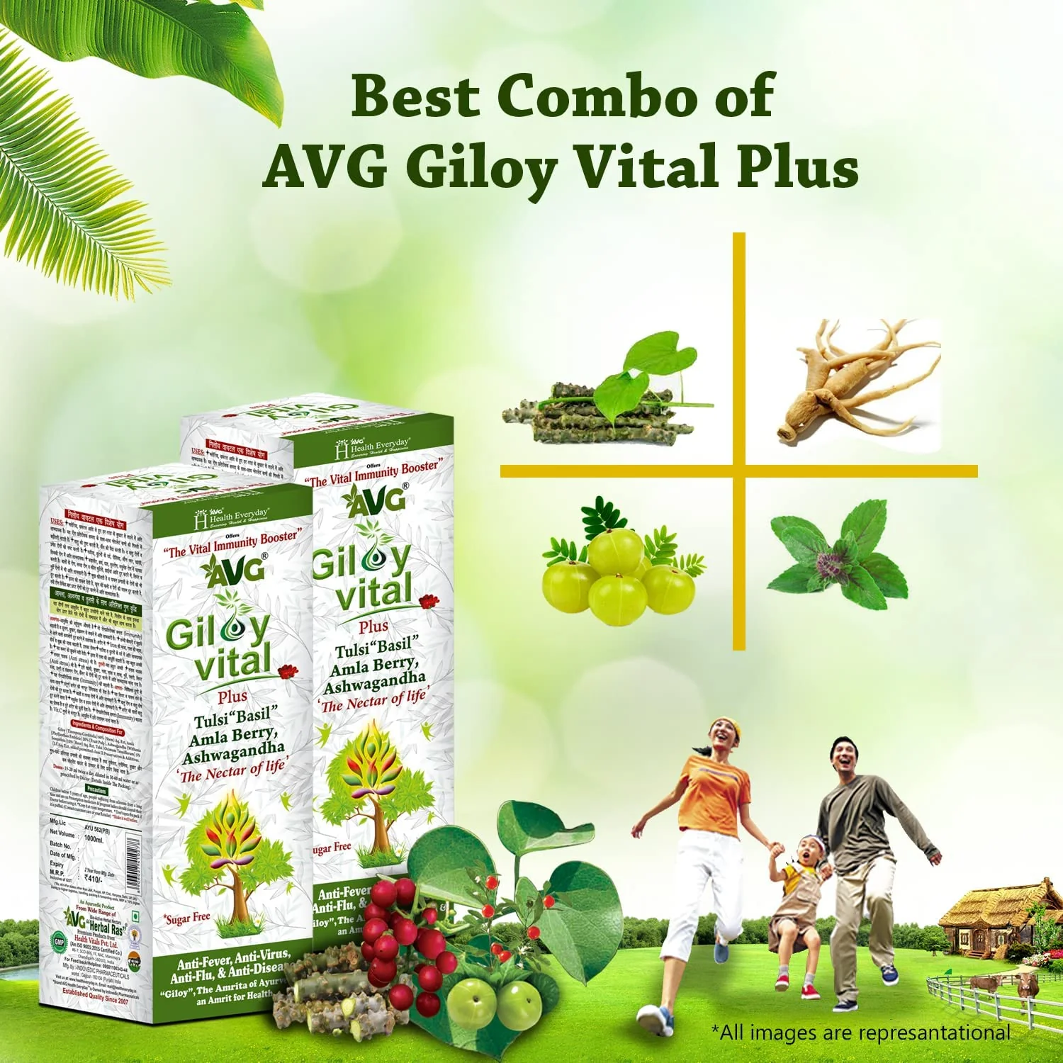Avg Health Organics Giloy Vital, Giloy Juice With Ashwagandha, Tulsi, Ayurvedic Supplement, Natual Immunity Booster, Improves Platelet Count | 1000ml 2.2lbs Each Pack Of 2 - Image 3