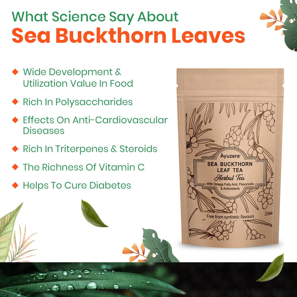Ayuzera Sea Buckthorn Herbal Leaf Tea - 100gm, 3.5 Ounce | Good For Skin & Immunity, Improves Metabolism - Rich In Antioxidants, Caffeine Free - Image 4