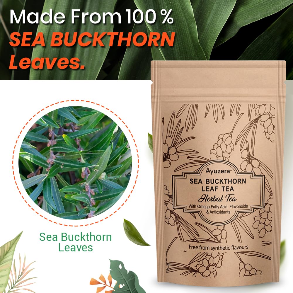Ayuzera Sea Buckthorn Herbal Leaf Tea - 50gm, 1.7 Ounce | Good For Skin & Immunity, Improves Metabolism - Rich In Antioxidants, Caffeine Free - Image 3