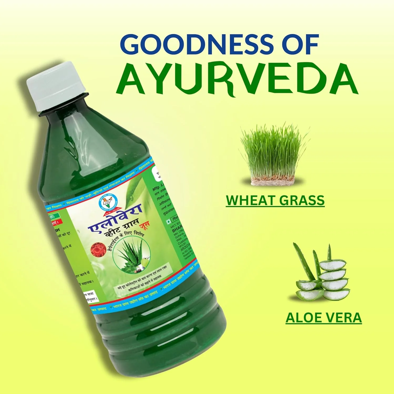Bharat Gram Udyog Aloe Vera Wheatgrass Juice - Boost Immunity And Reduce Cholesterol | 1 Litre 2.2lb S - Image 3