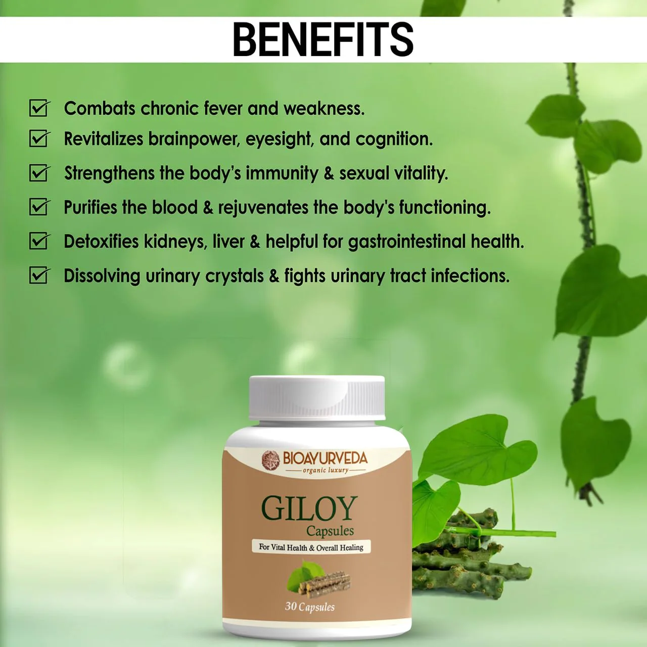 Bioayurveda Giloy Capsule Strengthens Immunity Wellness, Guduchi, Help In Boosting Immunity & Helps Enhancing Overall Immune Function | 30 Capsules 50gm 0.1lbs - Image 3