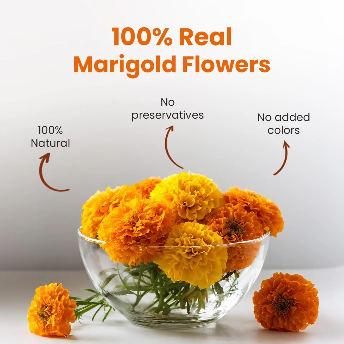 Blue Tea Organic Marigold Flower Herbal Tea - 25gm Pet Jar, 0.8 Ounce | Caffeine Free, Non-GMO, Flower Based Detox Tea - Gluten Free, Non-Bitter | Relieves Pain - Image 3