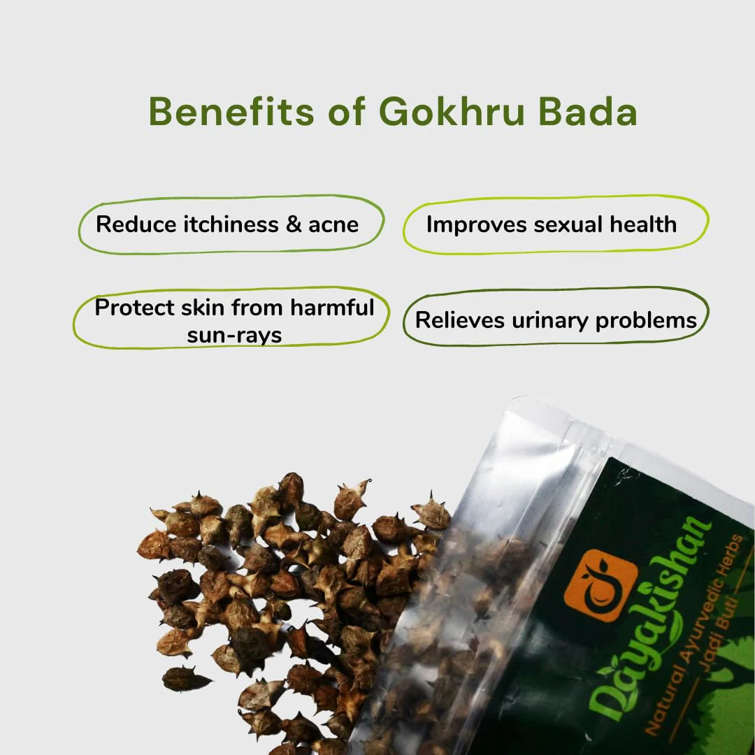 Dayakishan Gokhru Bada, Gokshura Big, Gokharu Bada Whole, Raw Pedalium Murex, Sabut Gokhru Bada, Tribulus Terrestris, Gokhru Seeds, Large Caltrops, Palleru, Nerunjil | 100gm 0.2lbs - Image 4