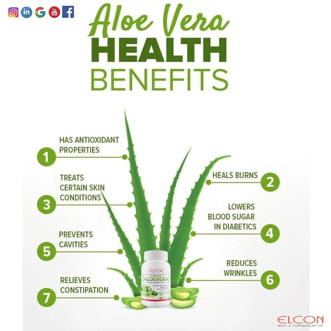 Elcon's Aloevera 500mg For Healthy Skin & Hair, Improves Digestion, Gives Relief From Occasional Heartburn & Acid Reflux | 60 Capsules, 100gm 0.2lbs - Image 4