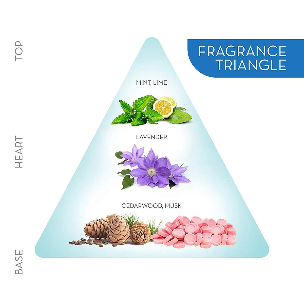 Engage M2 Perfume For Men | Citrus & Lavender | Long Lasting Fragrance Scent Skin Friendly Perfume 120ml 4 Fl.oz. - Image 5