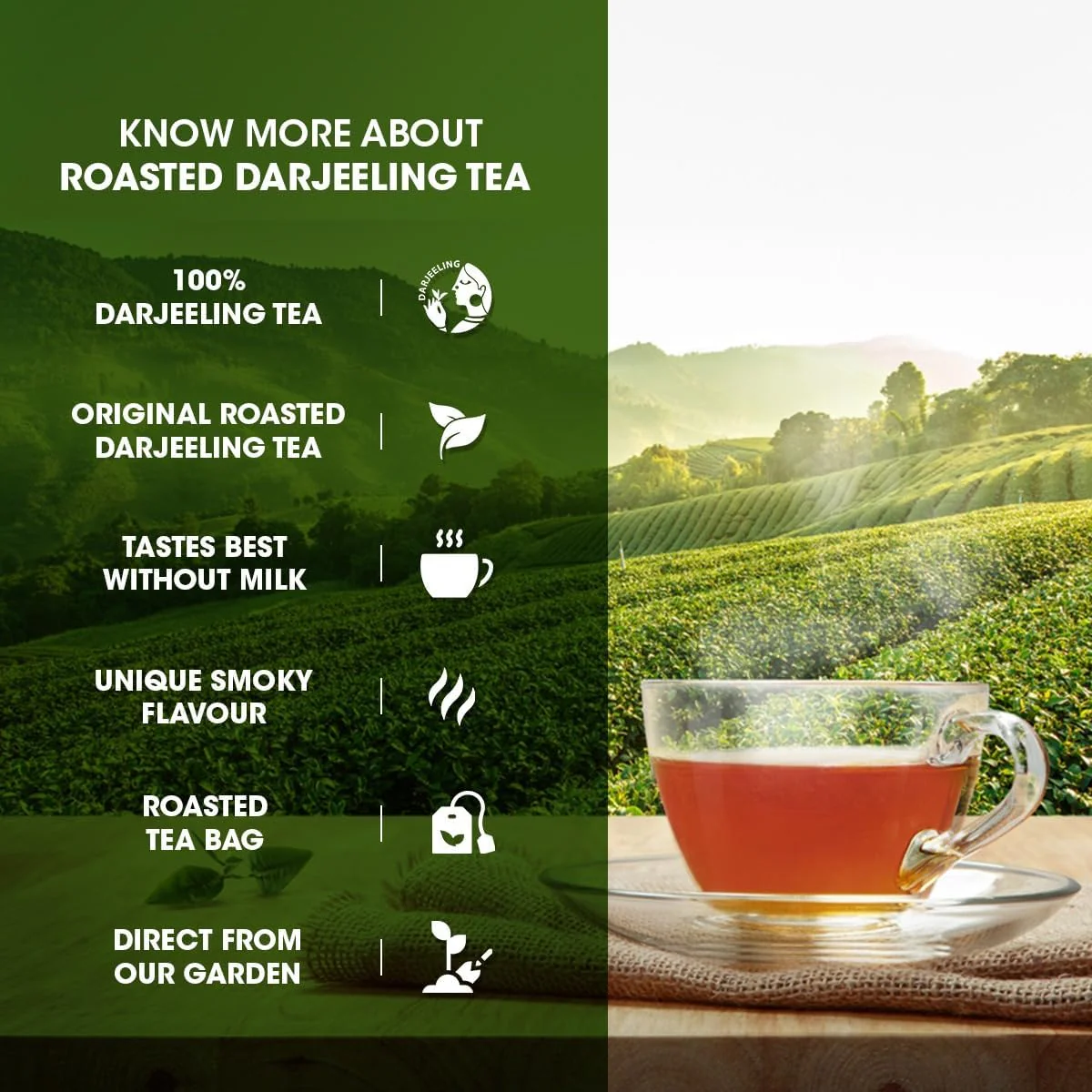 Goodricke Roasted Darjeeling Tea - 25 Tea Bags | Flavoury Golden Orange Pekoe - Premium Black Tea With Rich Taste & Flavor | 100% Pure & Original Long Leaf Chai - Low Caffeine - Image 2