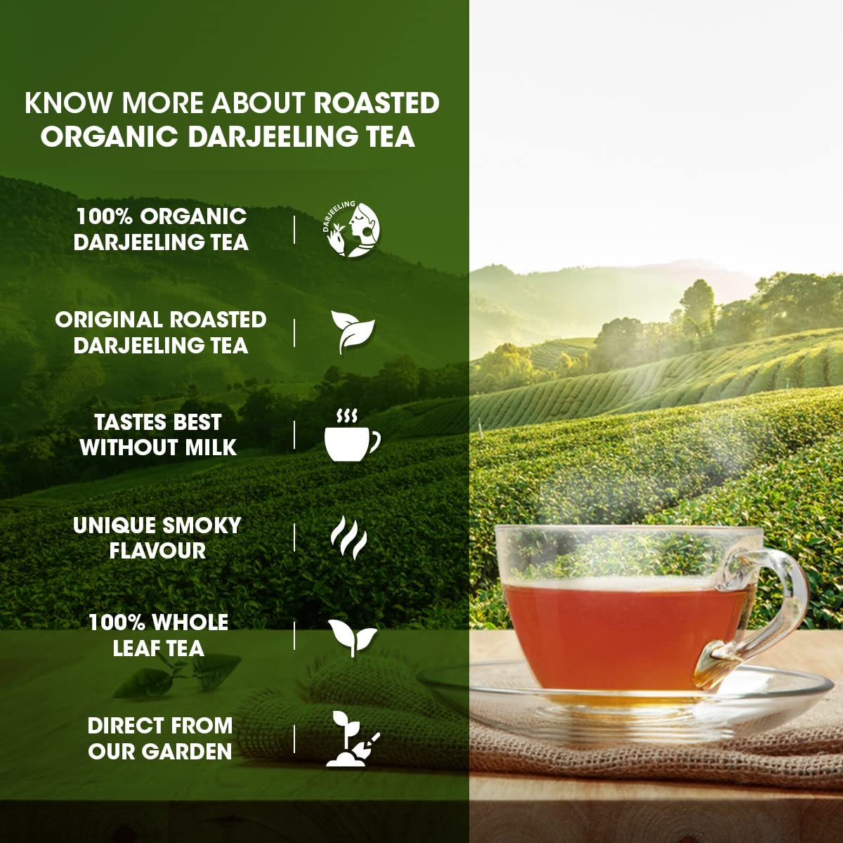 Goodricke Roasted Darjeeling Tea 250gm Jar, 8.8 Ounce - Flavoury Golden Orange Pekoe | Premium Black Loose Leaves Tea With Rich Taste & Flavor - 100% Pure & Original Long Leaf Chai | Low Caffeine - Image 5