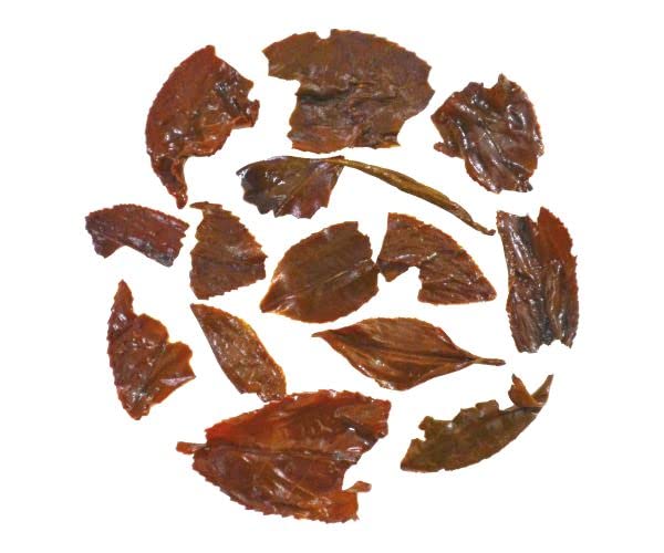 Gopaldhara Classic Darjeeling Muscatel Tea - 250gm Paper Box, 8.8 Ounce | High Elevation Leaf Tea - Rare & Exotic Premium Black Tea | Low Caffeine - Image 2