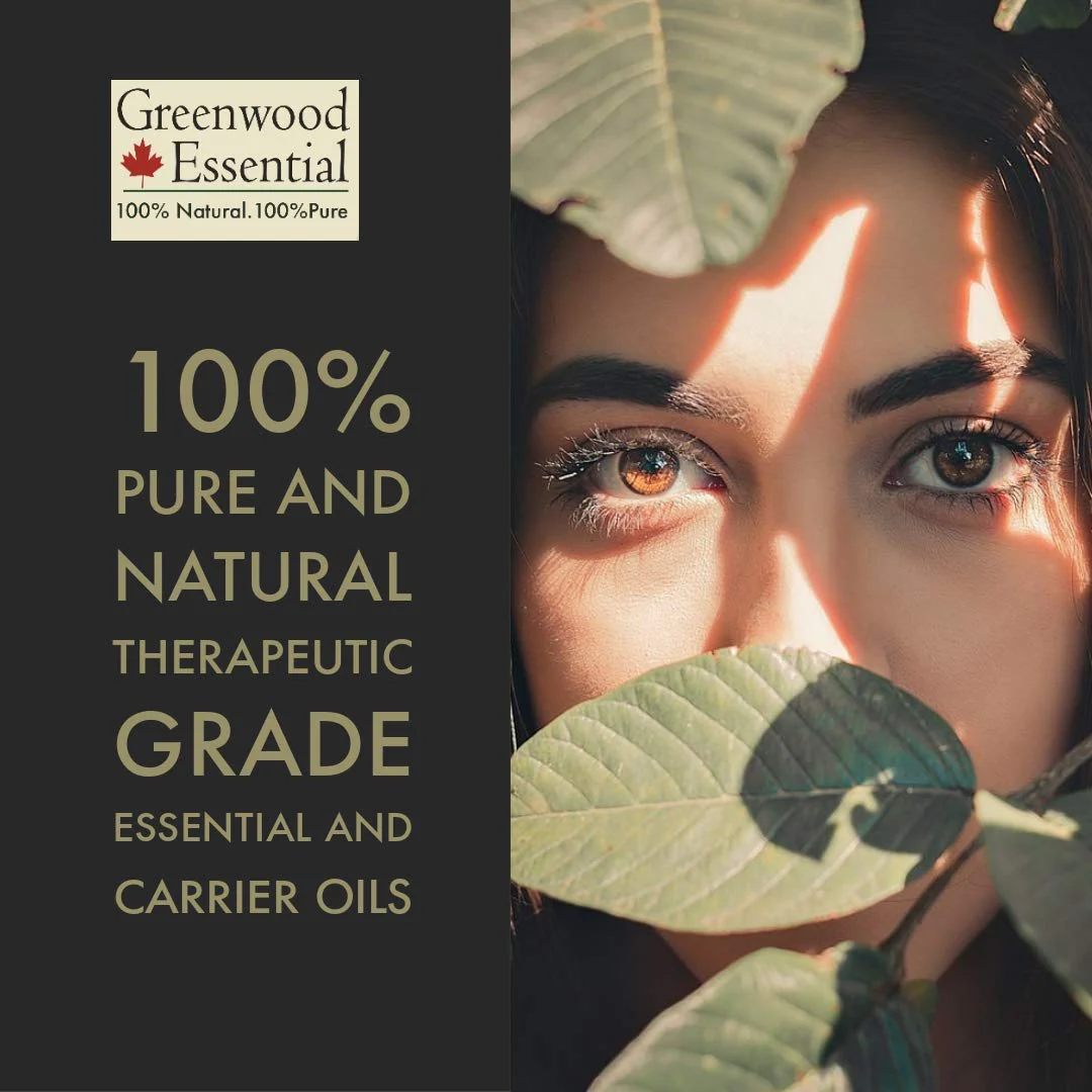 Greenwood Essential Pure Amla Powder (Indian Gooseberry) Emblica Officinalis Organic Certified 100% Natural Therapeutic Grade | 100gm 0.2lbs - Image 4