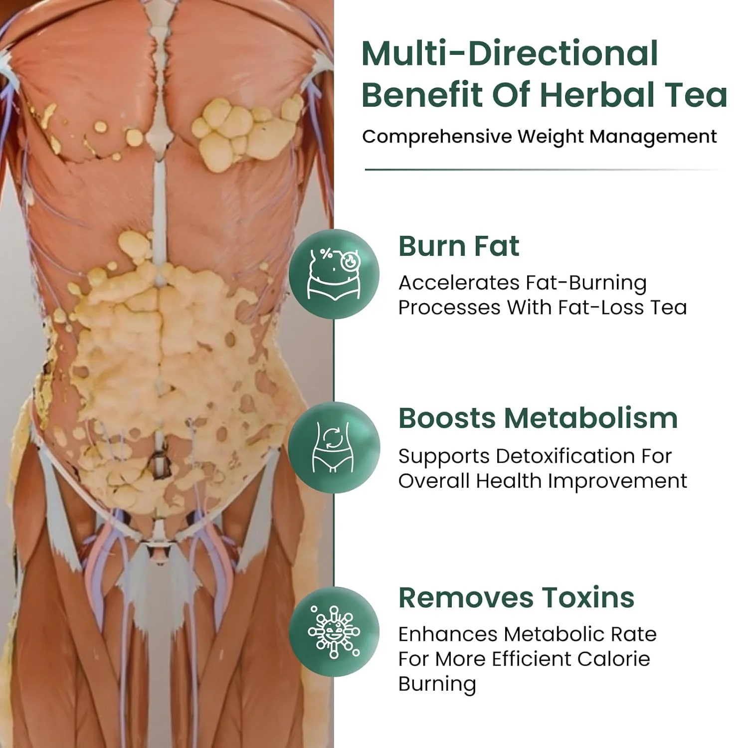 Healofy Naturals Slimming Tea - 60gm, 2.1 Ounce | Infused With Pippali & Ashwagandha - Boosts Energy & Immunity, Visible Weight Loss In 30 Days | No Added Sugar, Caffeine Free - Image 2