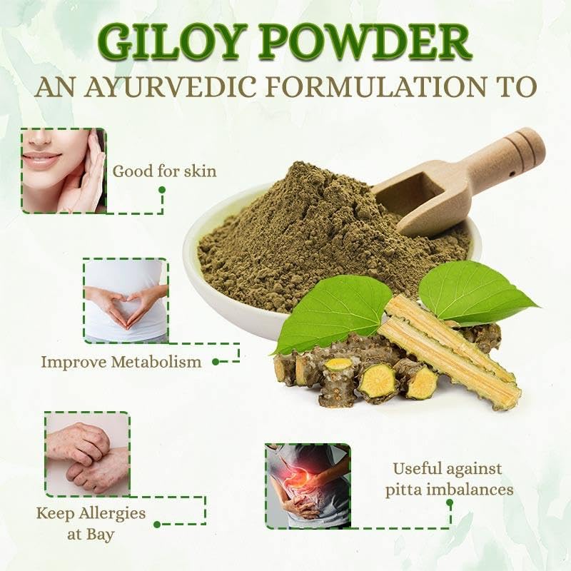 Heilen Biopharm Giloy Powder For Overall Detoxification Support, Supports A Healthy Immune System & Vitality | 100gm 0.2lbs - Image 3