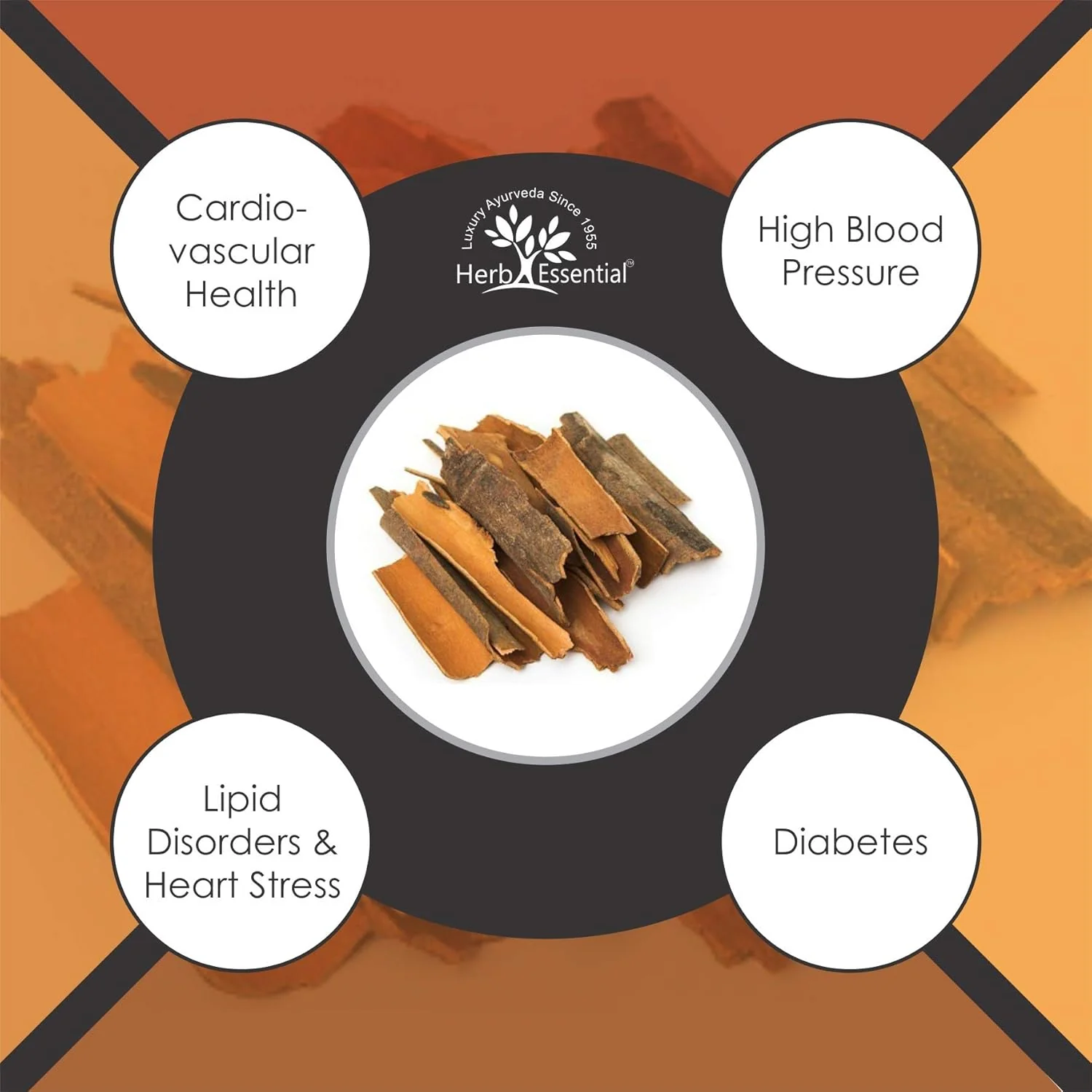 Herb Essential Pure Arjuna Powder Terminalia Arjuna Supports Healthy Heart, Manages Cholesterol Level | 100gm 0.2lbs - Image 3