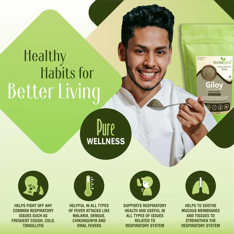 Herbal Spirit Giloy Powder Organic, Guduchi Powder, Telagapindi Powder, Giloy Churna Powder, Giloy Stem Or Giloy Stick, Tippateega Powder Organic | 250gm 0.5lbs - Image 3