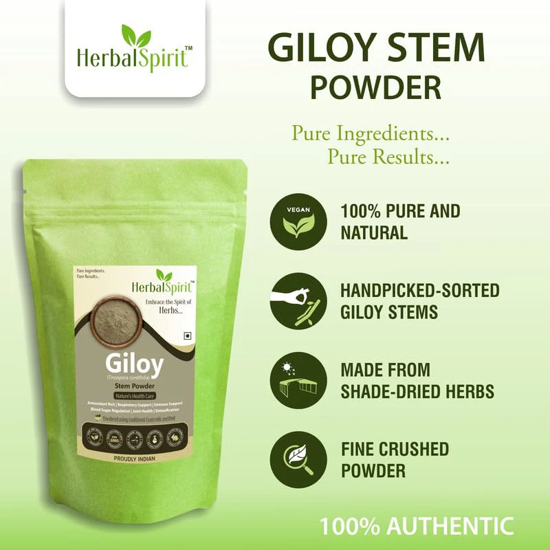 Herbal Spirit Giloy Powder Organic, Guduchi, Telagapindi, Giloy Churna, Stem, Tippateega Organic, Rediscover The Essence Of Wellness With Our Premium Giloy Powder | 250gm 0.5lbs - Image 2