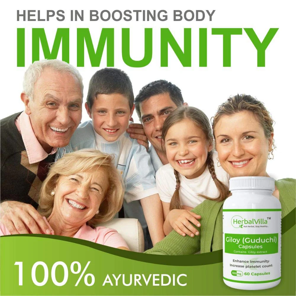 Herbalvilla Giloy Extract Capsules 500mg, Giloy Ghanvati, Immunity Booster, Maintains The Health Of Respiratory Tract | 60 Tablet 100gm 0.2lbs - Image 2