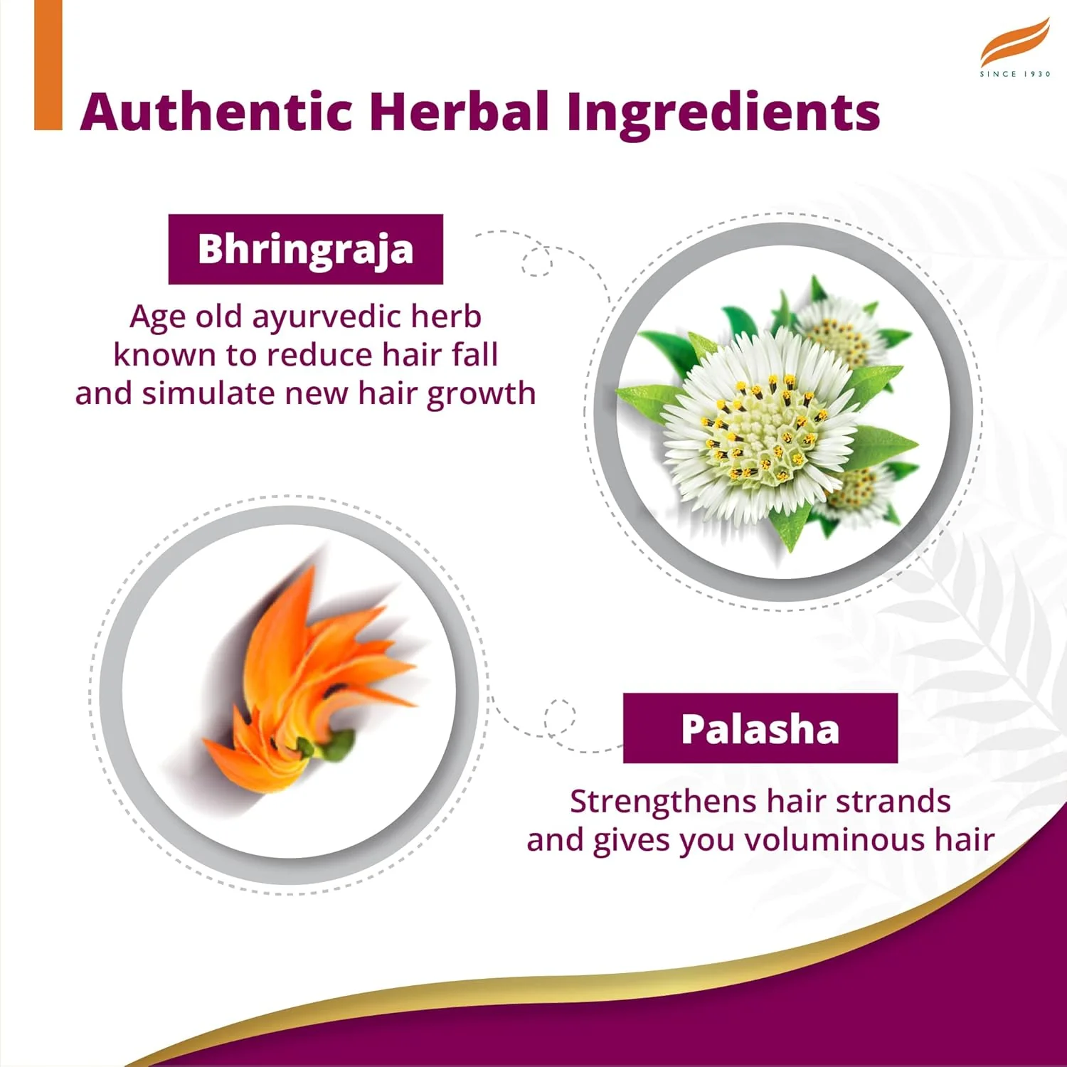 Himalaya Anti-Hair Fall Bhringaraja Shampoo, 96% Hair Fall Reduction | 650ml - Image 2