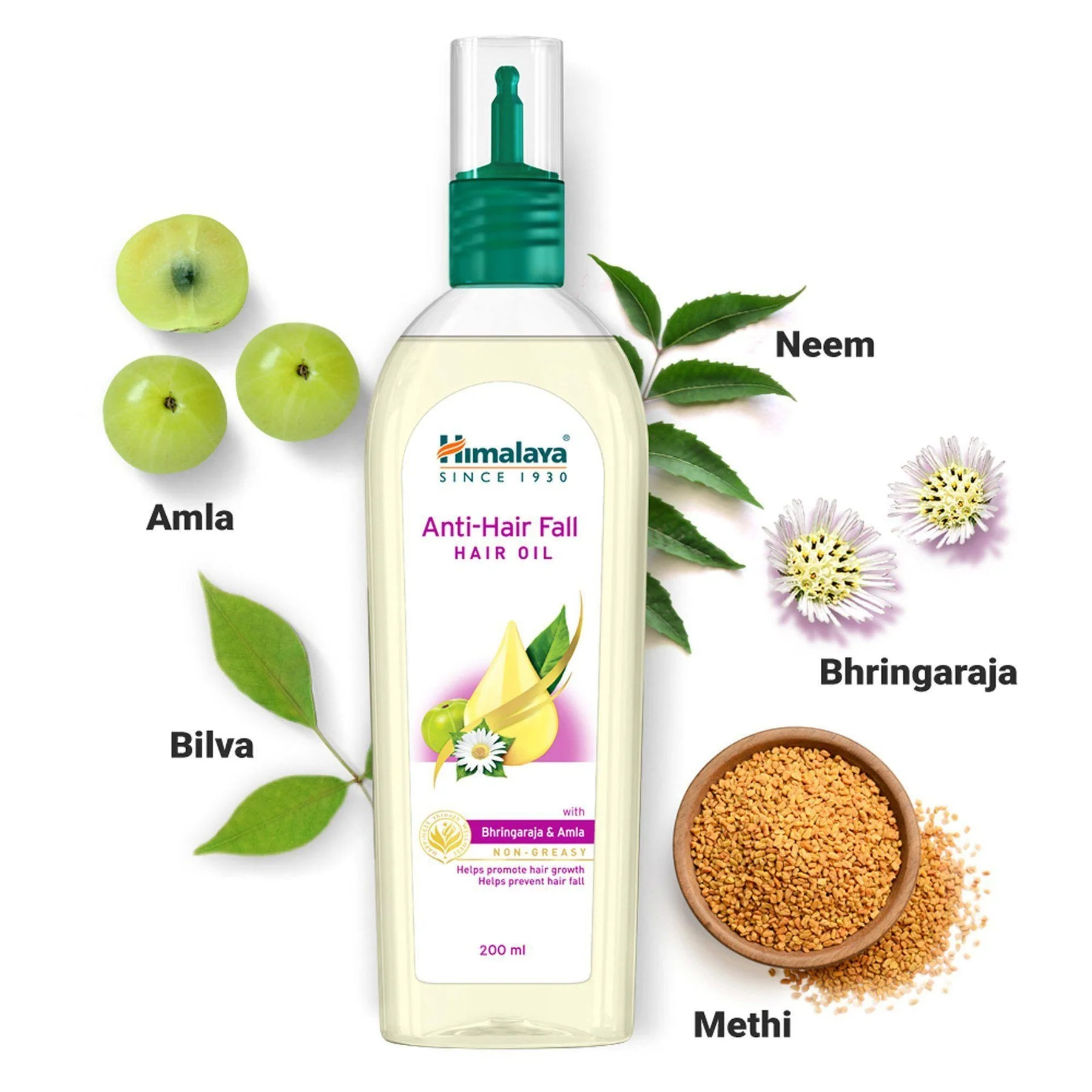 Himalaya Anti-Hair Fall Hair Oil, Promotes Hair Growth & Prevents Hair Fall | 200ml - Image 3