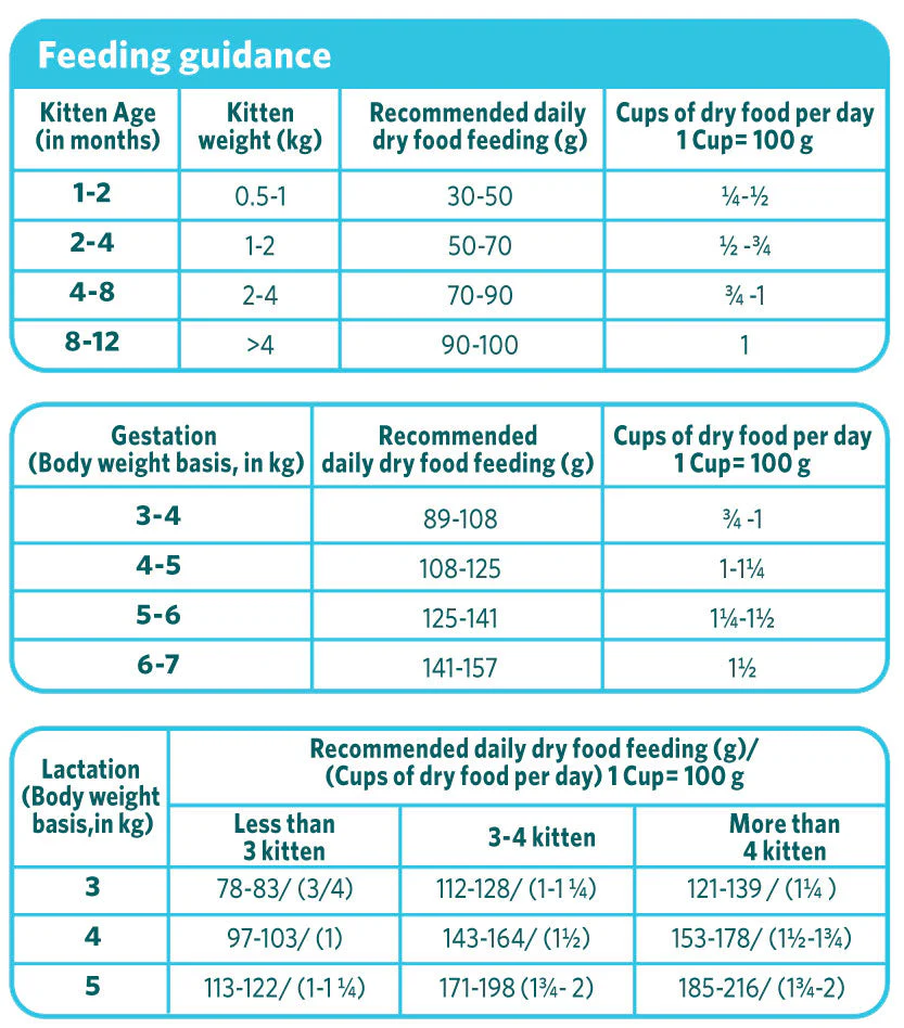 Himalaya Healthy Cat Food Kitten, Ocean Fish & Chicken, Complete And Balanced Food For Mother Cats & Kittens | 3kg - Image 4