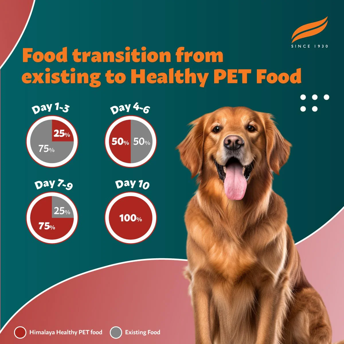 Himalaya Healthy Pet Food – Adult, Complete & Balanced Food For Dogs | 1.2Kg - Image 4