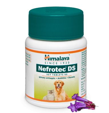Himalaya Nefrotec DS Vet Tablets, Diuretic & Urinary Antiseptic | 60 Tablets - Image 2