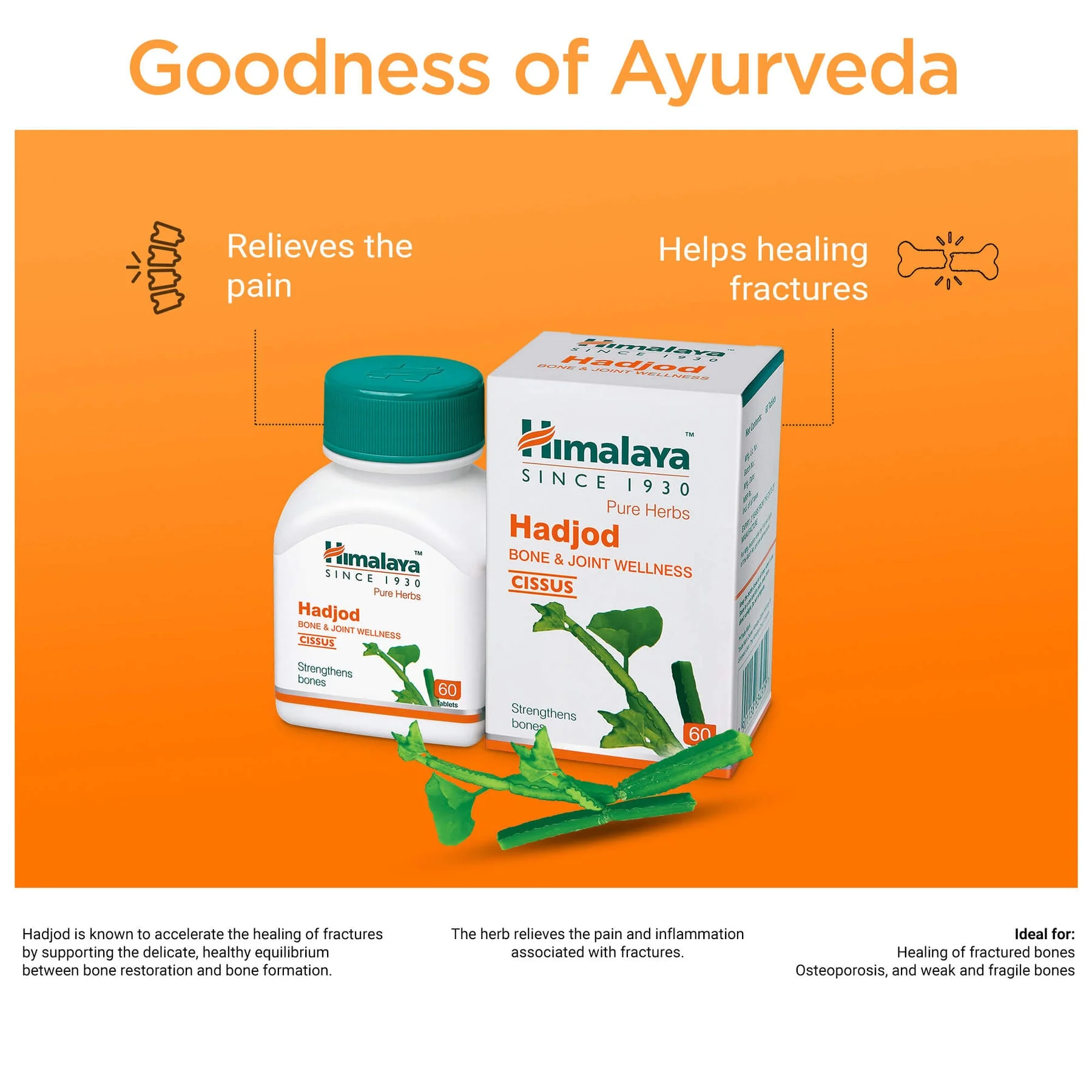 Himalaya Pure Herbs Hadjod Bone & Joint Wellness Tablet, Helps To Restore Tensile Strength Of Bones | 60 Tablets - Image 4