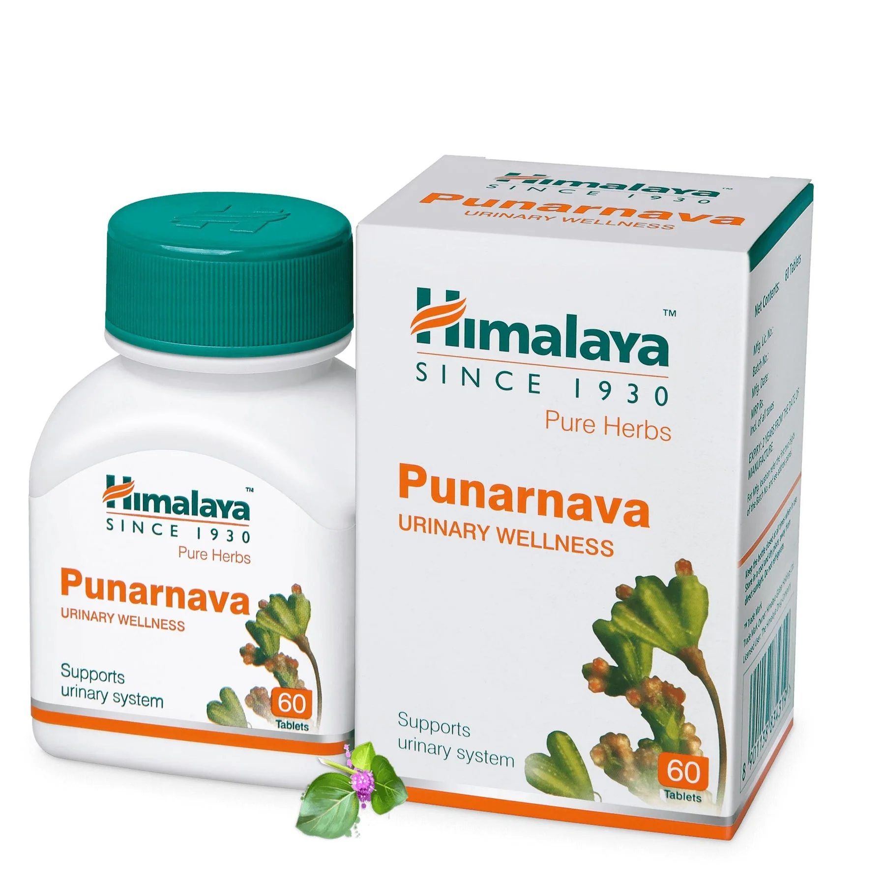 Himalaya Wellness Pure Herbs Punarnava Urinary Wellness Tablet, Useful For Efficient Kidney Functions | 60 Tablets (Pack Of 2) - Image 3