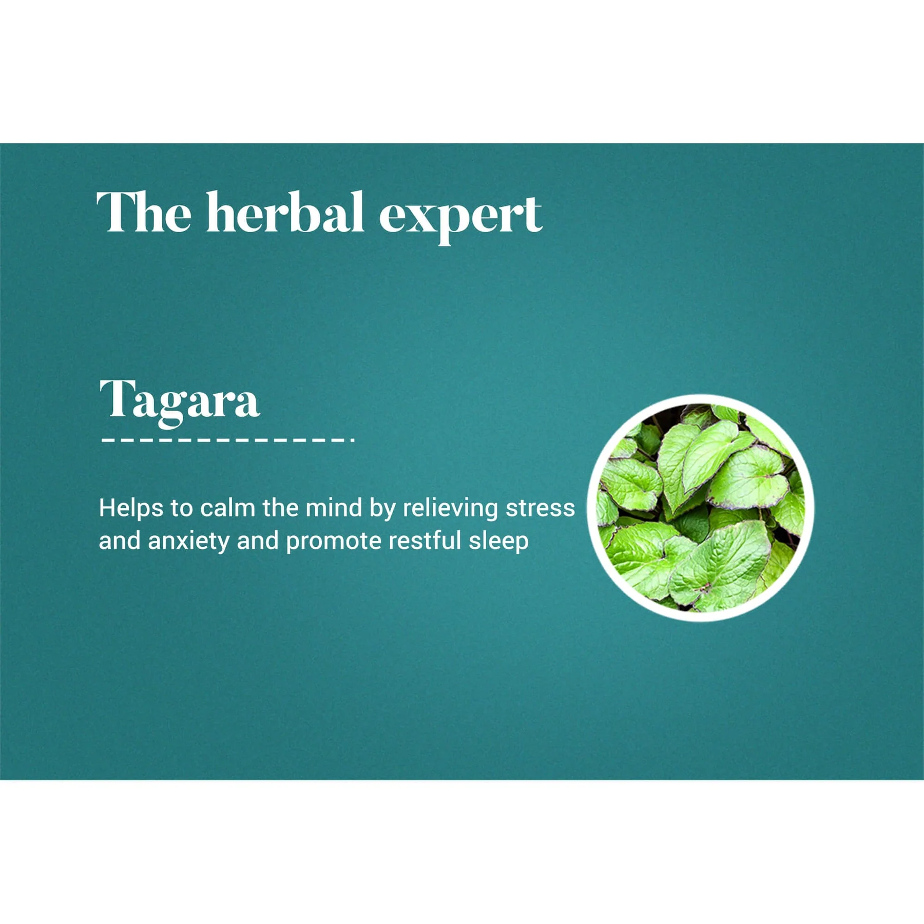 Himalaya Wellness Pure Herbs Tagara Tablet, Promotes Restful Sleep, Reduces Sleeplessness & Irritability | 60 Tablets (Pack Of 2) - Image 2