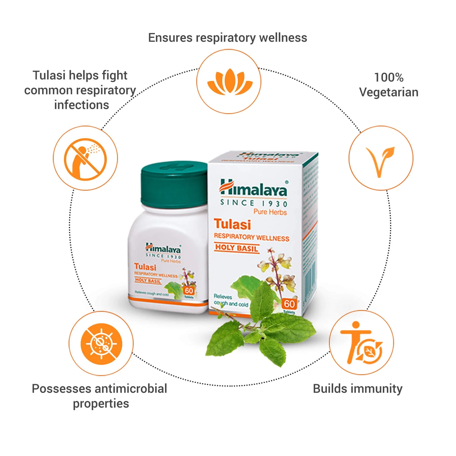 Himalaya Wellness Pure Herbs Tulasi Respiratory Wellness, Holy Basil, Relieves Cough & Cold | 60 Tablets - Image 2