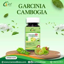 Icure Wellness & Nutrition Garcinia Cambogia 500mg For Weight Loss, Support Your Weight Loss Goals And Help You Achieve Effective Results | 60 Capsules 100gm 0.2lbs Each Pack Of 2 - Image 4