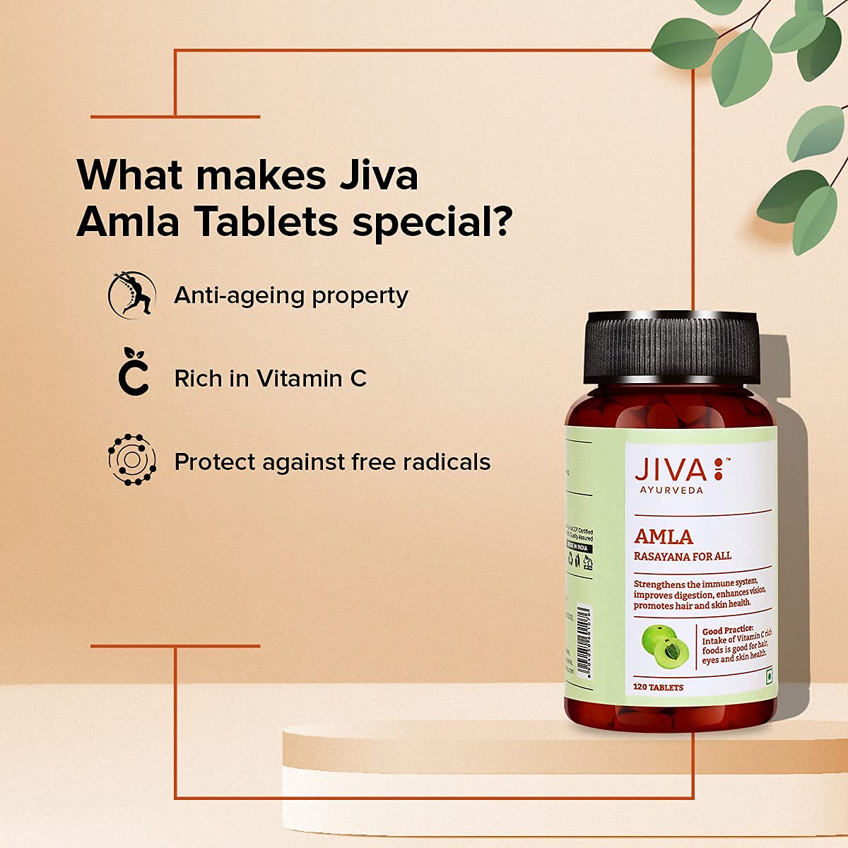 Jiva Amla Tablets 500mg 100% Pure Herbs Used, Rich In Vitamin C, Protects Against Free Radicals | Rich In Antioxidants, Improves Digestion, Enhances Vision | 120 Tablet 200gm Each Pack Of 2 - Image 4