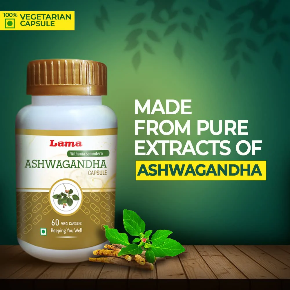 Lama Ashwagandha Capsule (Withania Somnifera), With Pure Natural Extracts Of Ashwagandha, Helps In Stress Management, Improve Energy, 500mg | 60 Veg Capsules 100gm 0.2lbs - Image 2