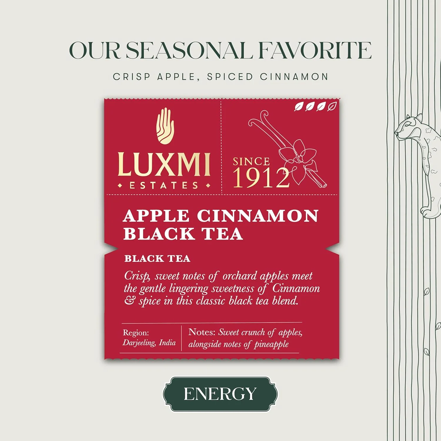 Luxmi Estates Apple Cinnamon Black Tea Bags 100gm, 3.5 Ounce - 50 Cups Bulk Pack | USDA Certified Premium Black Tea - Anti-Oxidants, Immunity Booster, High Caffeine - Image 3