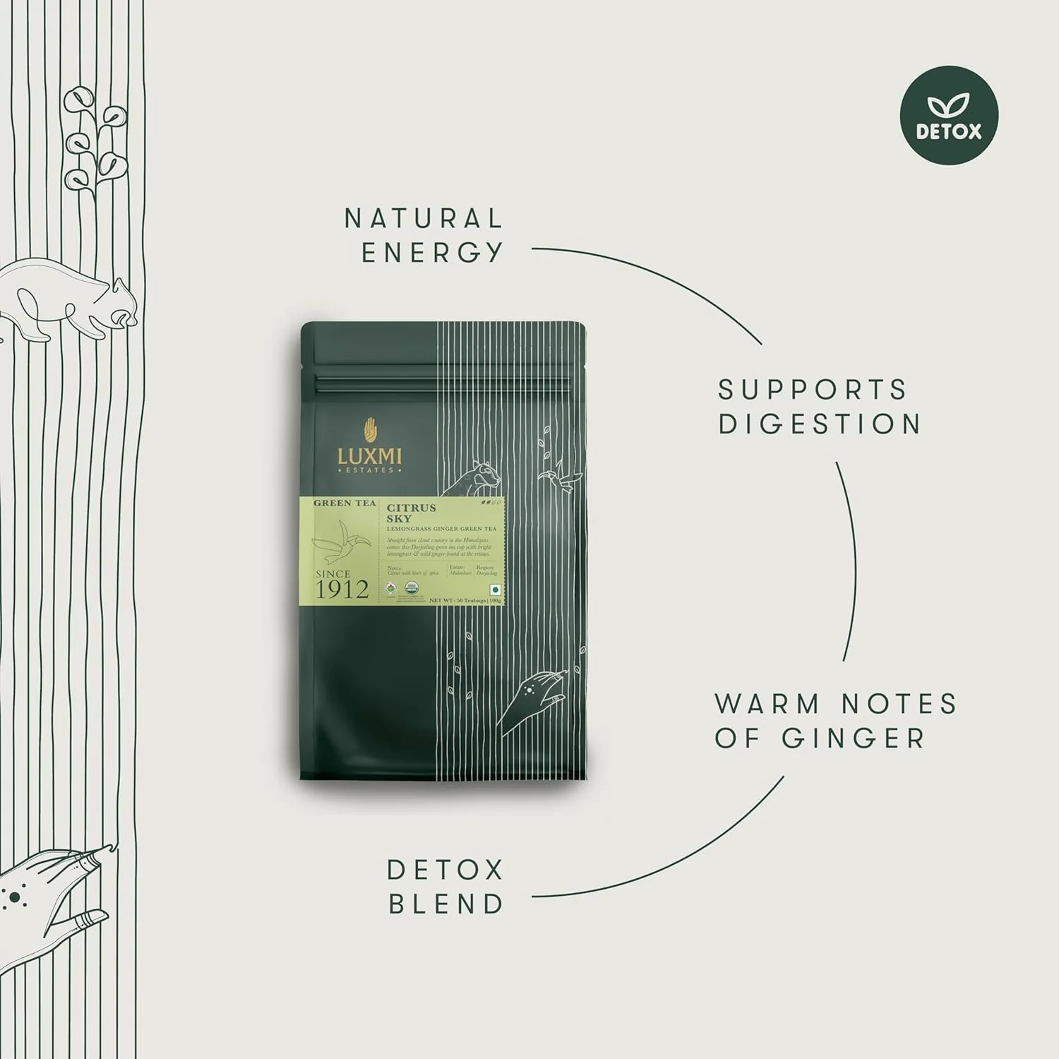 Luxmi Estates Citrus Sky Lemongrass Ginger Green Tea - 100gm, 3.5 Ounce, 50 Tea Bags | USDA Certified Organic Darjeeling Green Tea - Natural Lemon Balm Tea - Calming, Supports Digestion - Image 4