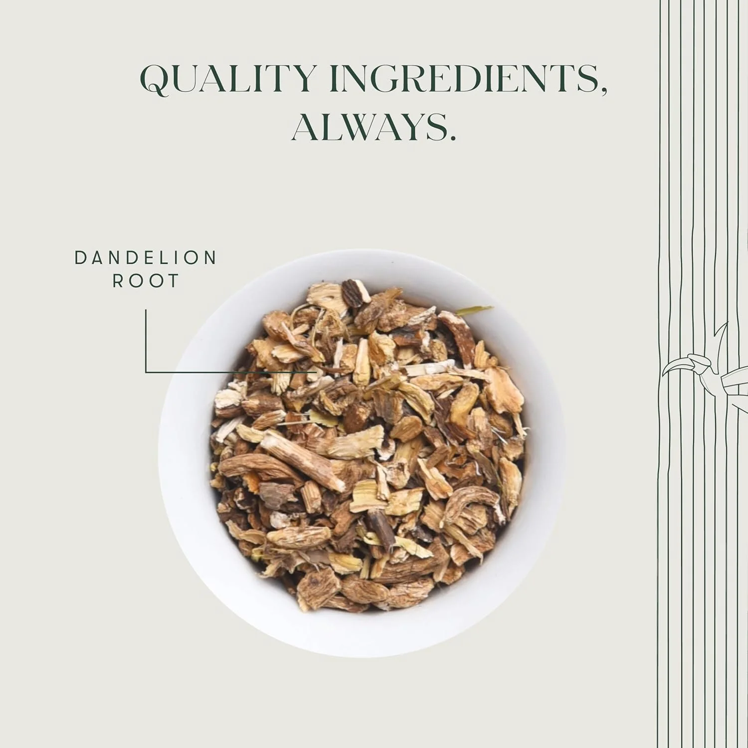 Luxmi Estates Dandelion Root Herbal Tea - 100gm Tin Caddy, 3.5 Ounce, 50 Cups | USDA Certified Organic Herbal Tea - Single Ingredient, Caffeine-Free Loose Leaves - Image 3