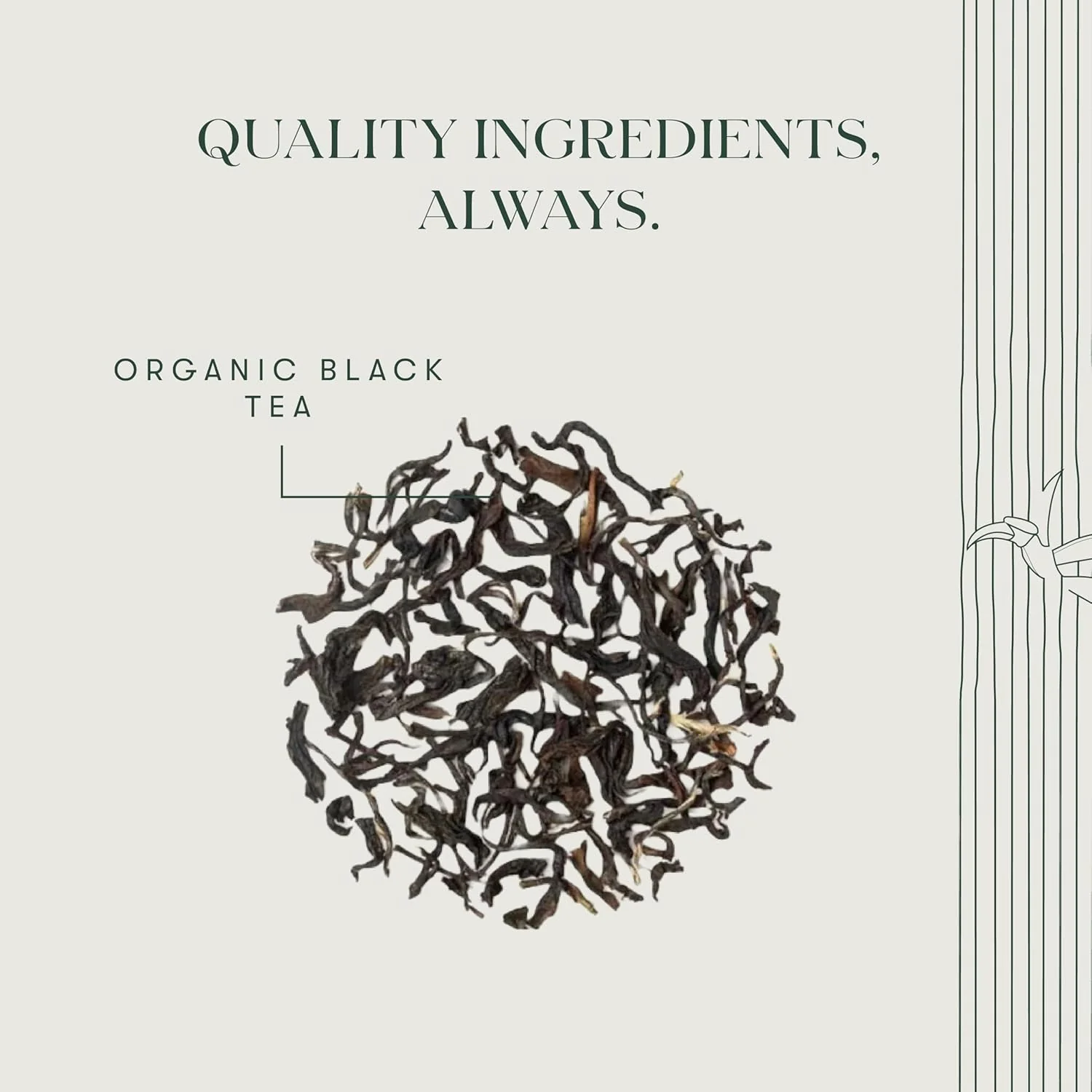 Luxmi Estates Queen Of The Hills Black Tea 50gm, 1.7 Ounce - 25 Tea Bags | Certified Organic Black Tea - 100% Biodegradable & Plastic Free | No Additives, High Caffeine Black Tea - Image 4