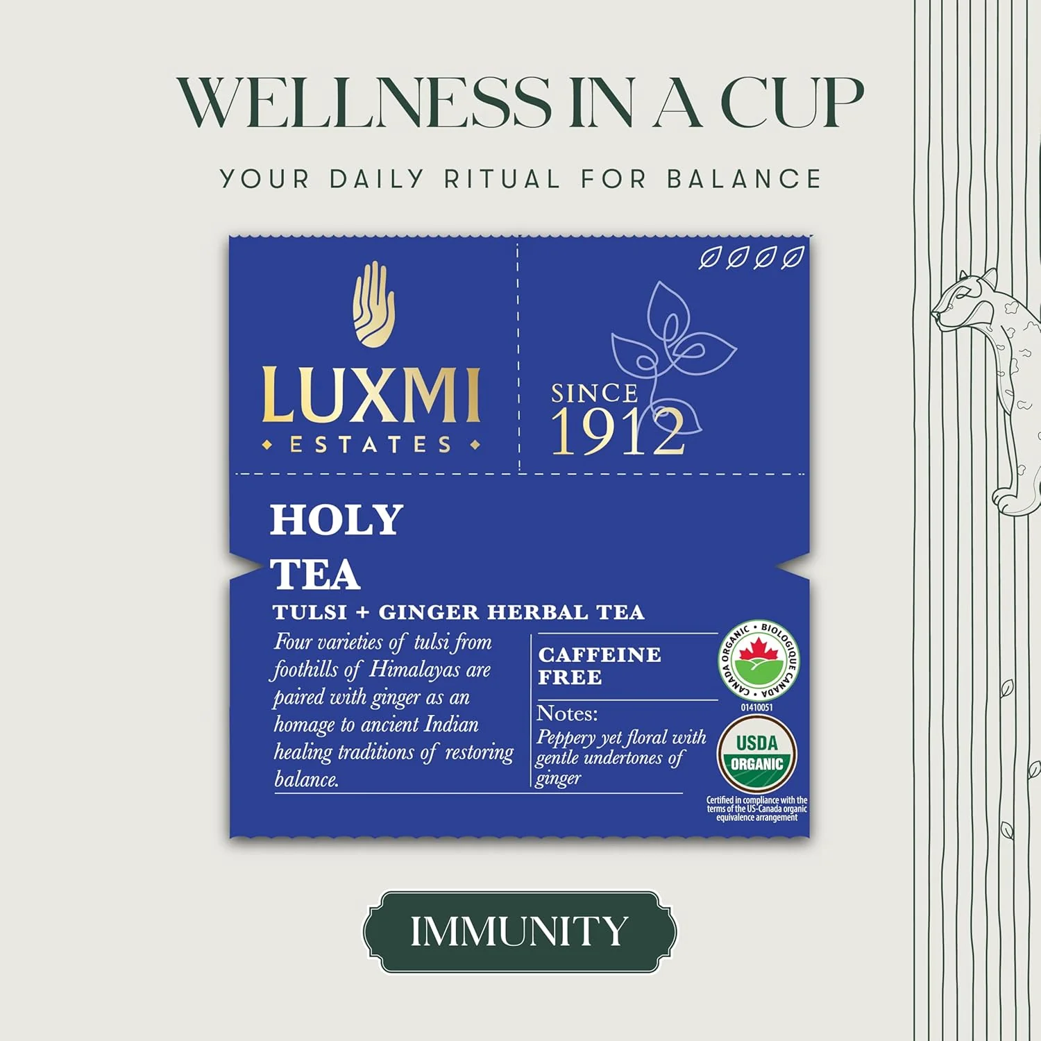 Luxmi Estates Tulsi + Ginger Herbal Tea - 100gm, 3.5 Ounce, 50 Tea Bags Each | USDA Certified Organic Tea - Caffeine Free Herbal Tea | Immune Support, Relief & Uplift Mood - Image 3