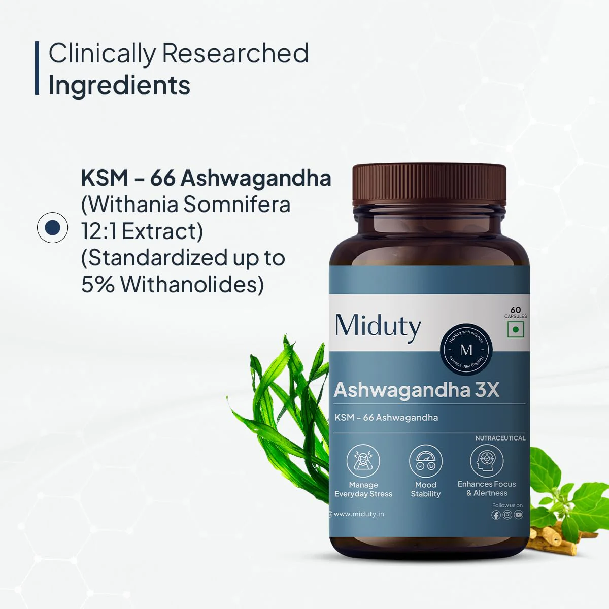 Miduty Palak Notes Ashwagandha 3x, 500 Mg Supplement Ksm 66 Ashwagandha, Triple Strength Formula, For Mood Stability, Focus, Strength & Stress | 60 Veg Capsules 100gm 0.2lbs - Image 3