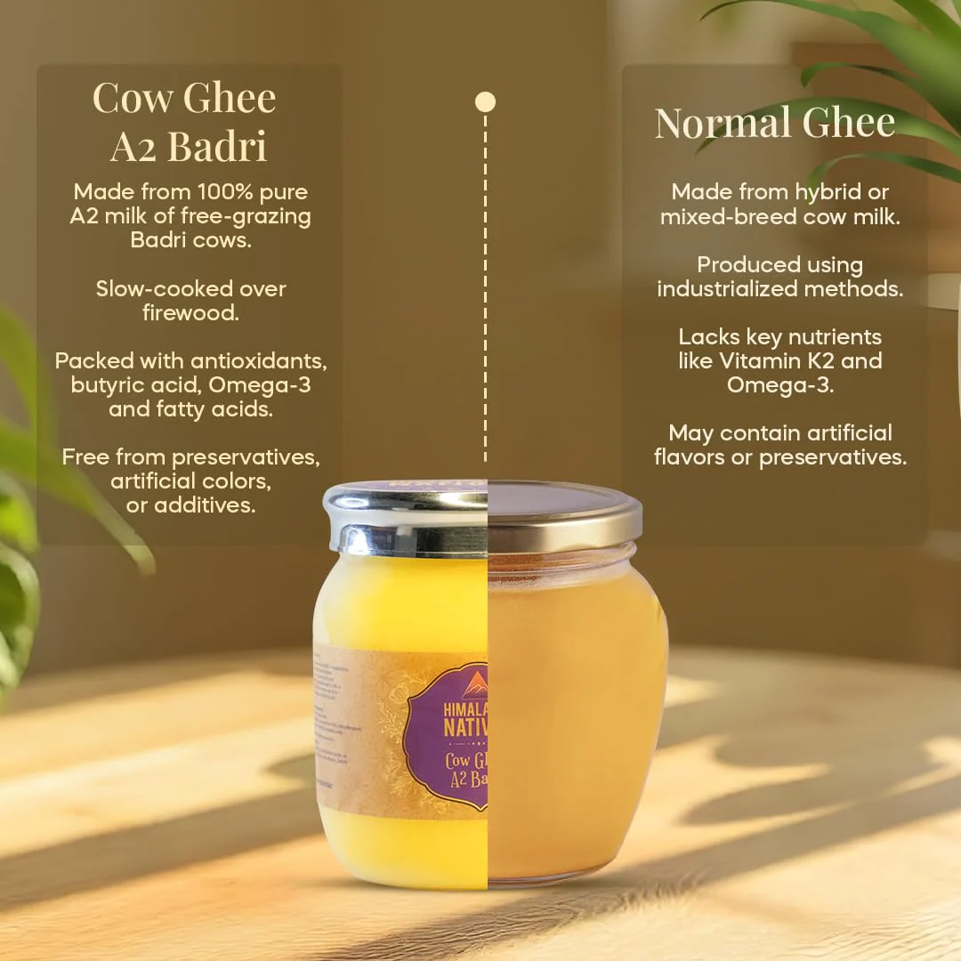 Natural A2 Badri Cow Ghee By Himalayan Natives | Highly Nutritious Helps Keep Your Boost Immunity & Eye Health Desi Cow Ghee | (500ml) 16.9 Ounce | Jar Pack - Image 4