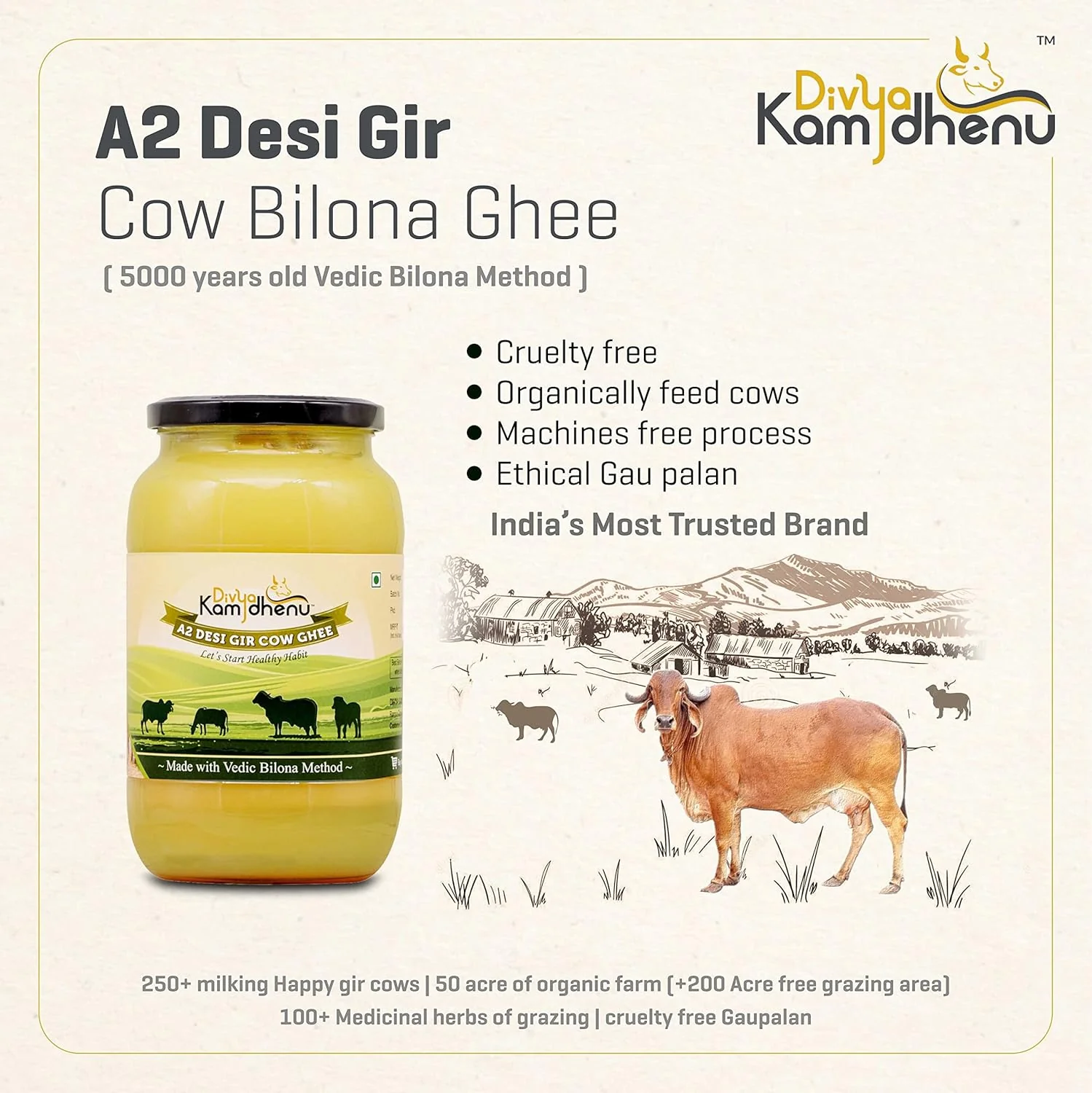 Natural A2 Desi Gir Cow Ghee By Divya Kamdhenu | Healthy & Delicious Nutrients Lab Certified Desi Ghee Good For Body Health | (1 Litr) 33.8 Ounce | Jar Pack - Image 3