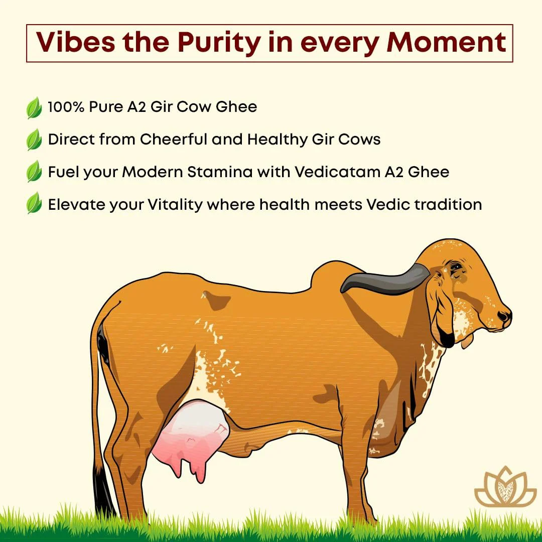 Natural A2 Gir Cow Desi Ghee By Vedicatam | Traditional Bilona Method Curd- Churned Healthy Pure Desi Ghee For Nourishes Brain & Overall Body | (500ml) 16.9 Ounce | Jar Pack - Image 3