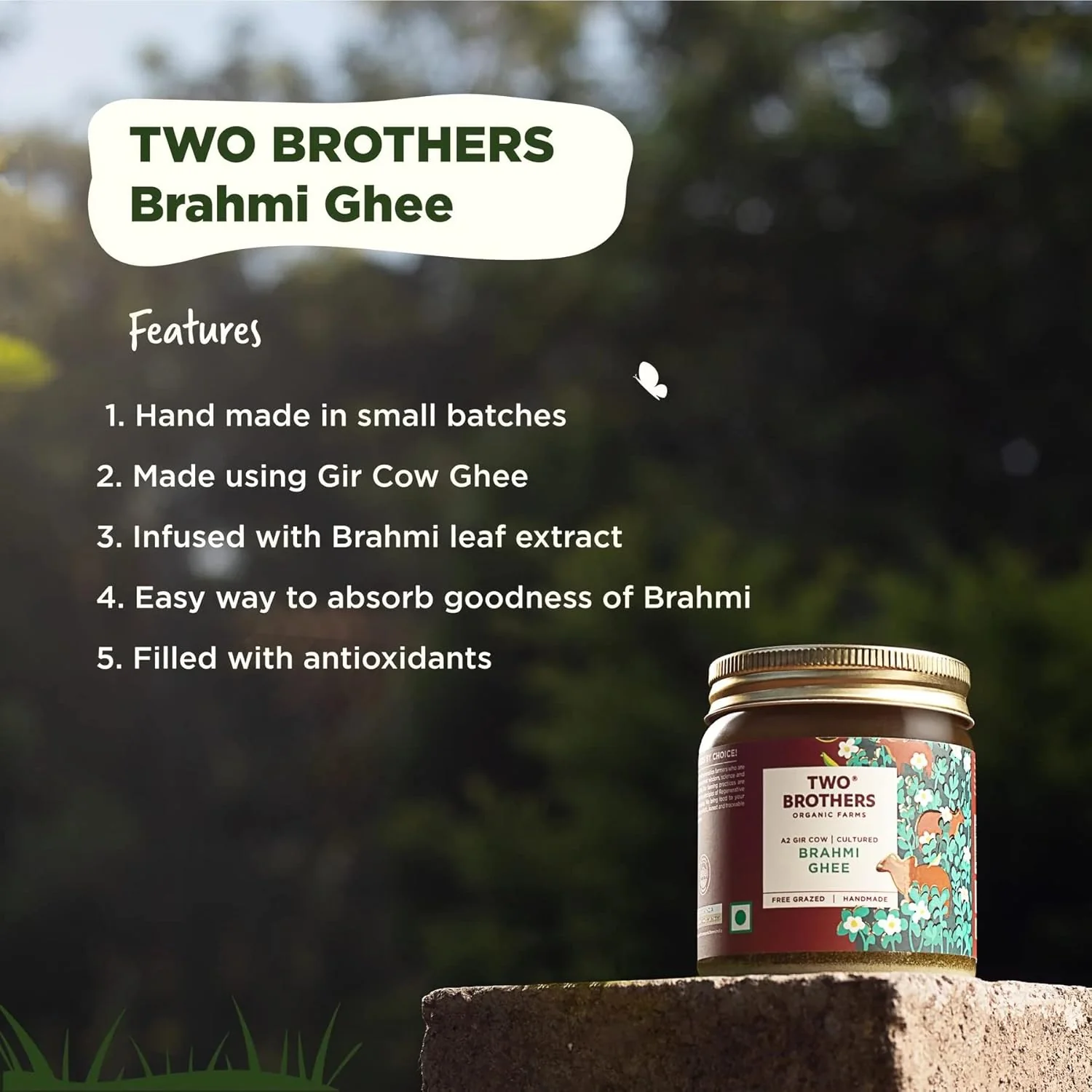 Natural (Brahmi) A2 Gir Cow Cultured Desi Ghee By Two Brothers Organic Farms | Naturally & Healthy Protein Fiber Desi Ghee Good For Weight Loss | (250ml) 8.4 Ounce | Jar Pack - Image 4