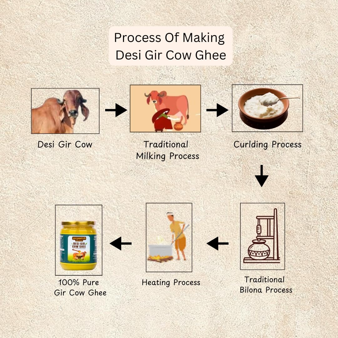 Natural Desi Gir Cow Ghee By Gavyasattvik | High In Protein Fiber Healthy Desi Cow Ghee Protact Eyesight | (500ml) 16.9 Ounce | Jar Pack - Image 5