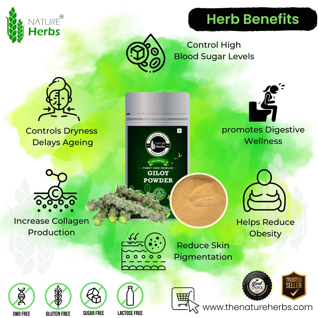 Nature Herbs 100% Pure Giloy Powder, Helps Improve Digestion & Boost Immunity | 200gm 0.4lbs Each Pack Of 4 - Image 2